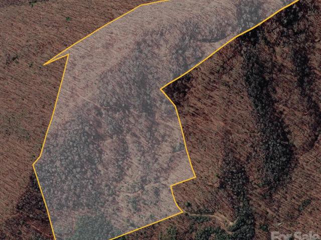 Land for sale in Bryson City, Swain County