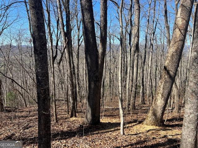 Land for sale in Hayesville, North Carolina