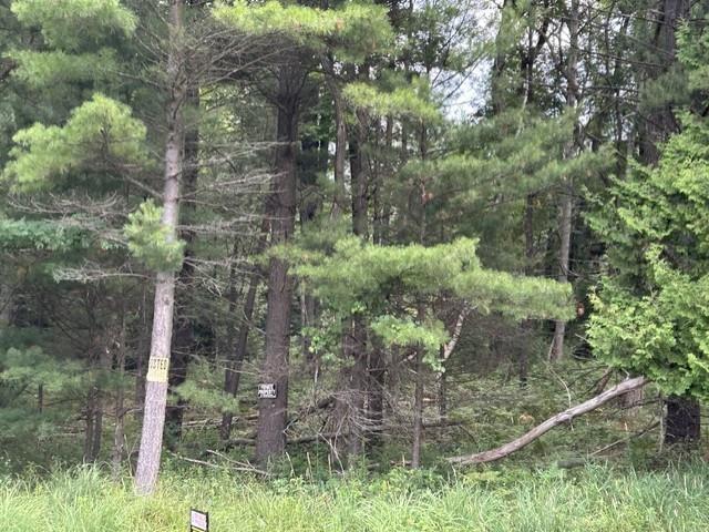 Land for sale in Michigan