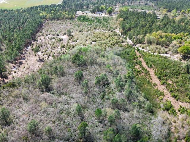 Land for sale in Harrells, North Carolina