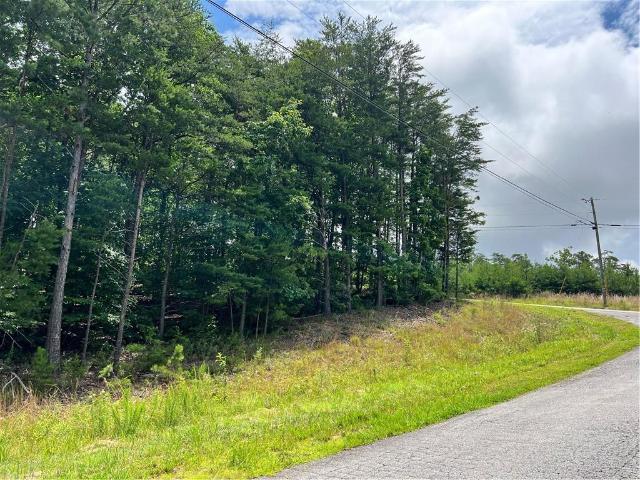 Land for sale in Pickens, Georgia