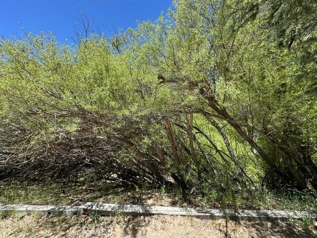 Land for sale in California