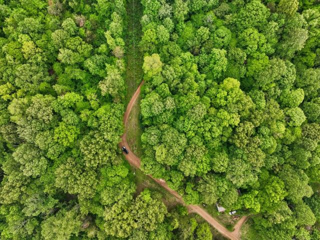 Farm for sale in Tennessee