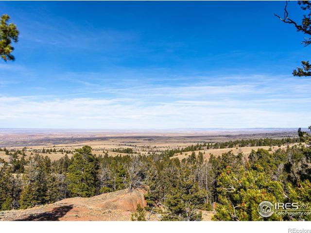 Land for sale in Red Feather Lakes, Colorado