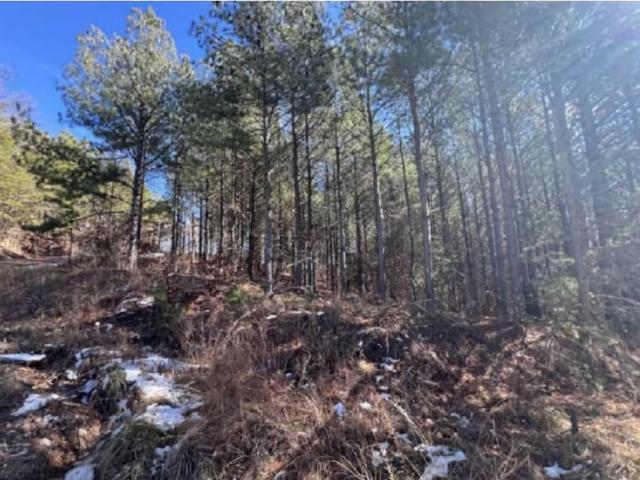 Land for sale in Tennessee