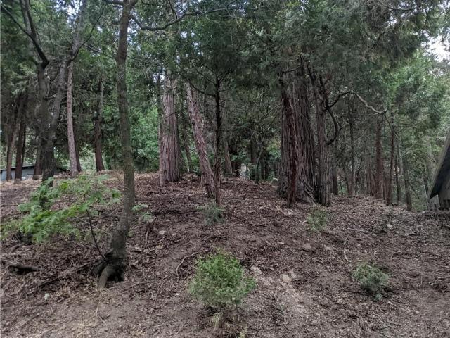 Land for sale in Crestline, San Bernardino County