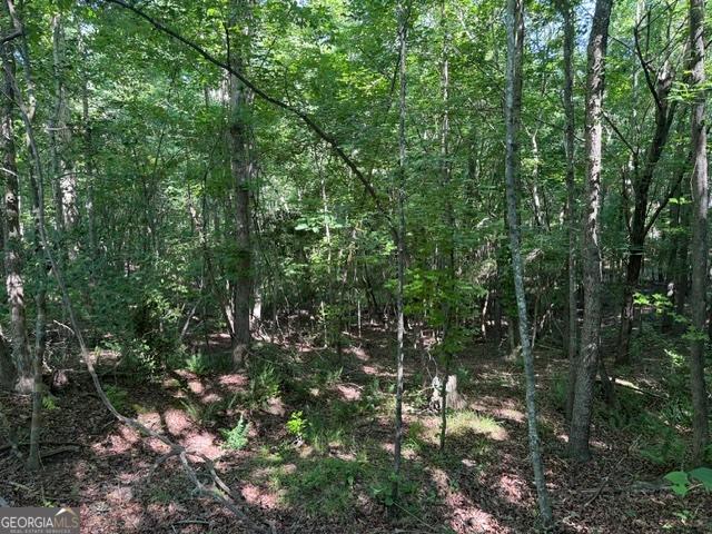 Land for sale in Thomson, Georgia