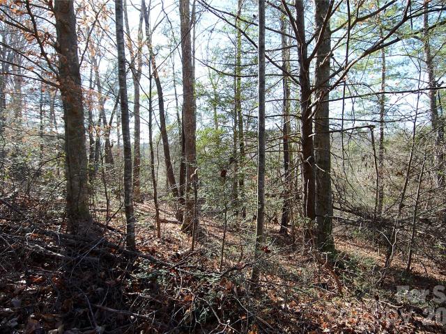 Land for sale in Marion, McDowell County