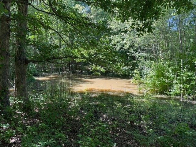 Land for sale in Tennessee