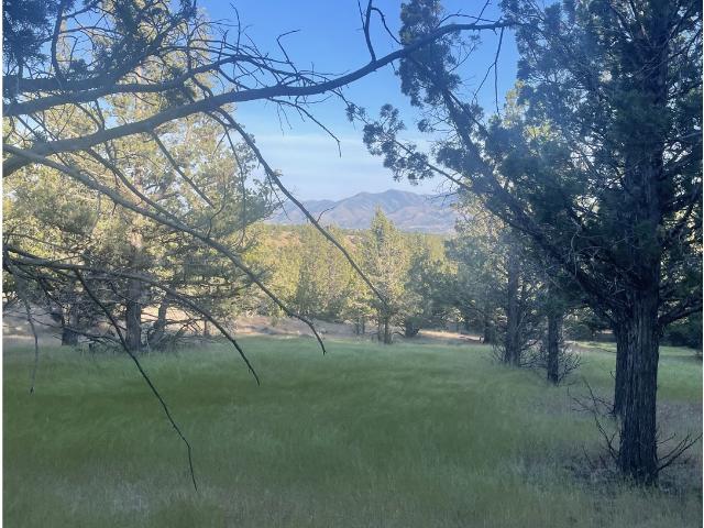 Land for sale in Dayville