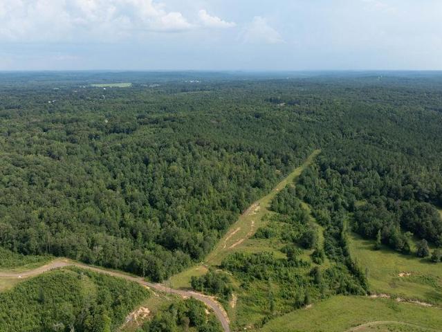 Land for sale in Fayette, Alabama