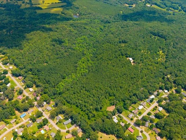 Land for sale in Dale, Alabama