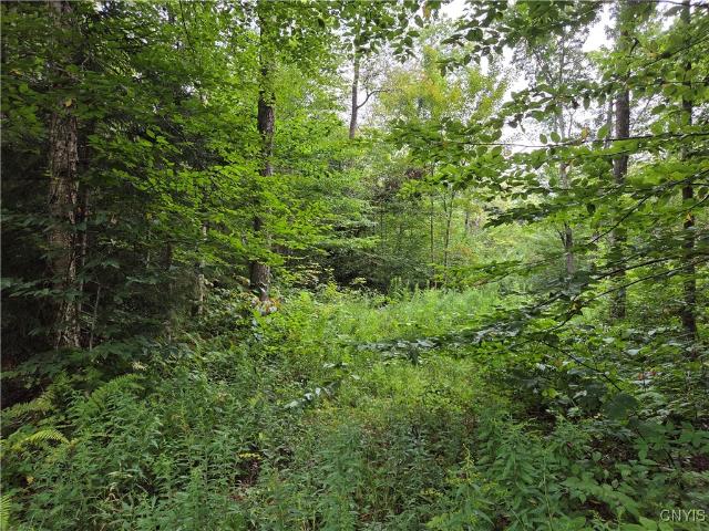 Land for sale in New York
