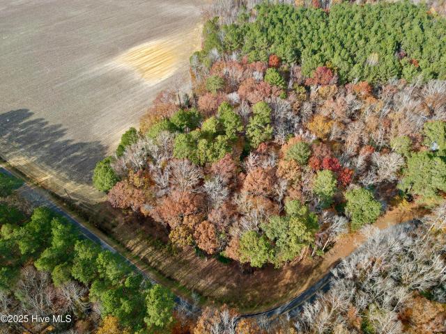 Land for sale in Williamston, North Carolina