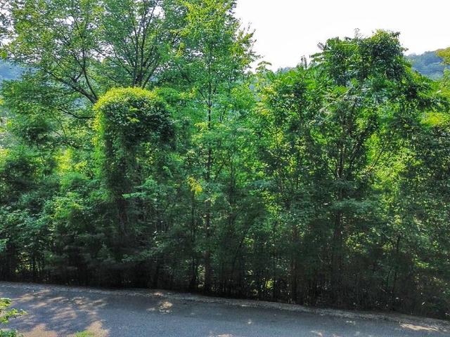 Land for sale in Tennessee