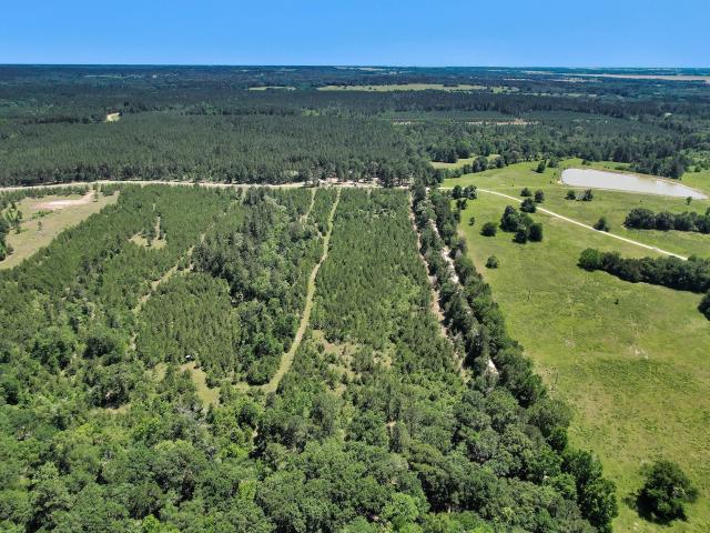 Land for sale in Lovelady, Texas