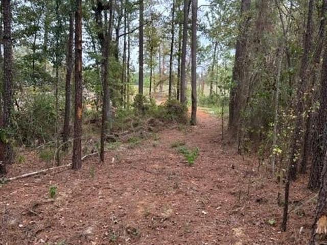 Land for sale in Ball, Louisiana