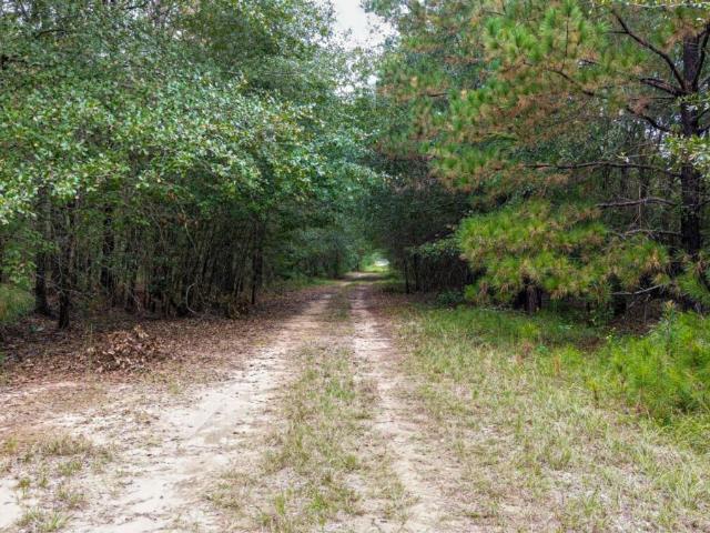 Land for sale in Oglethorpe, Georgia