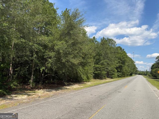 Land for sale in Helena, Georgia