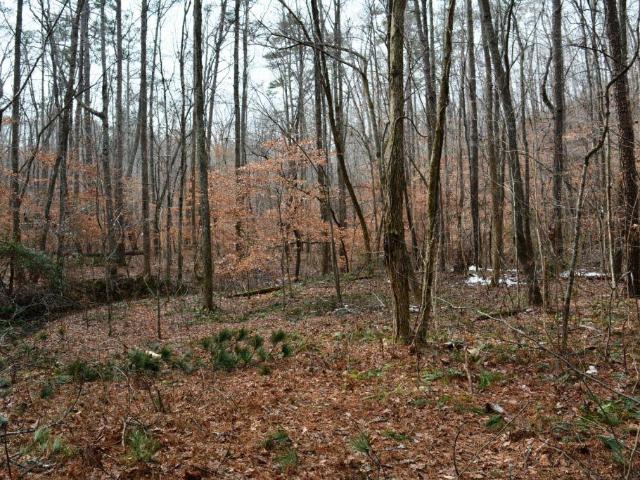Land for sale in Paulding, Georgia
