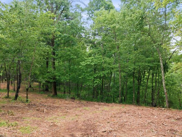 Land for sale in Tennessee