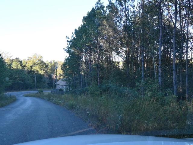 Land for sale in Cleveland, Blount County