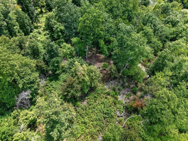 Farm for sale in Tennessee