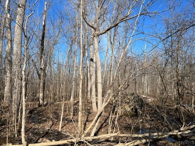 Land for sale in Bowmansville, New York