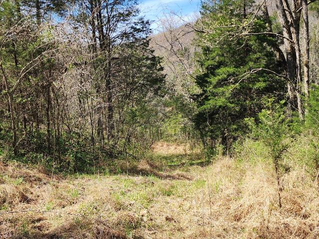 Land for sale in Tennessee