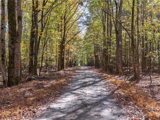 Land for sale in Arnoldsville, Georgia