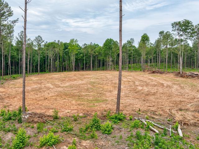 Land for sale in Arnoldsville, Georgia