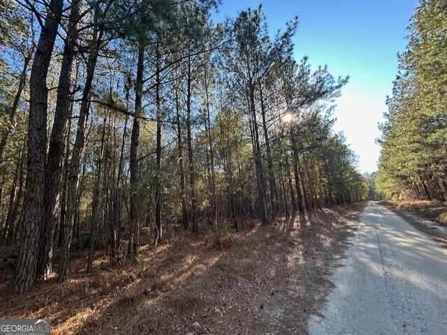 Land for sale in Warrenton, Georgia