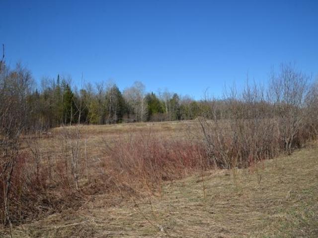 Land for sale in Michigan