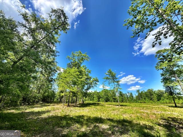 Land for sale in Georgia