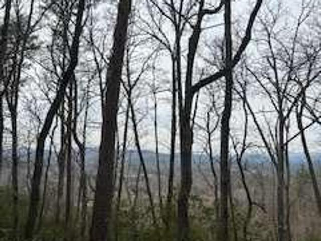 Land for sale in Young Harris, Georgia