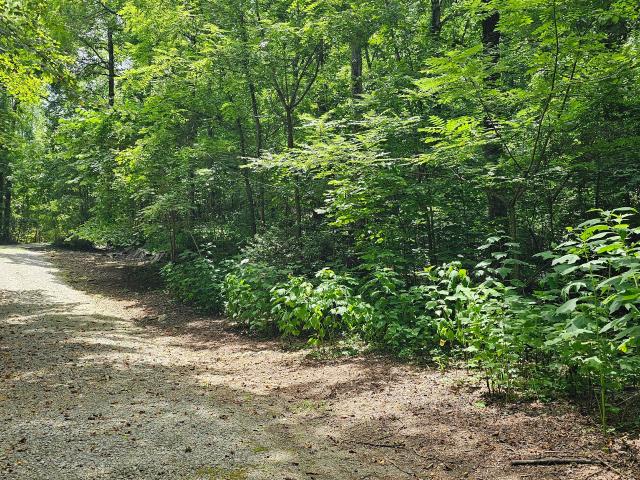 Land for sale in Clayton, Georgia