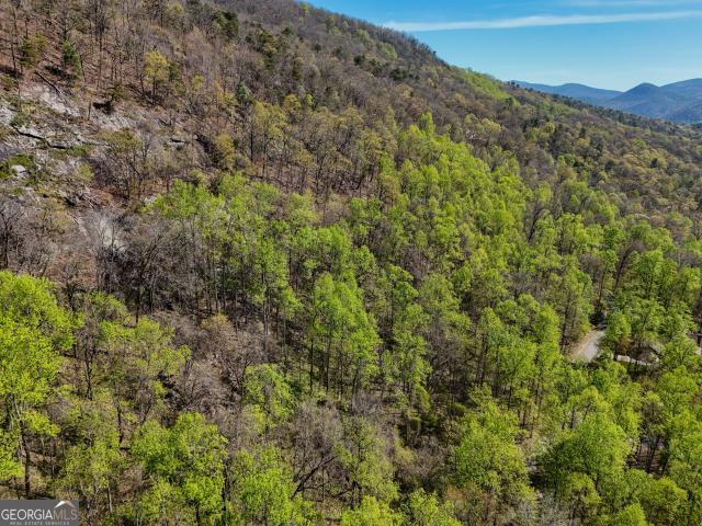 Land for sale in Clayton, Georgia