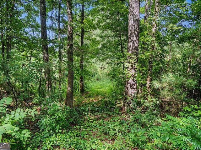 Land for sale in Haralson, Georgia