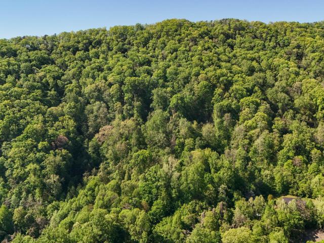 Land for sale in Virginia