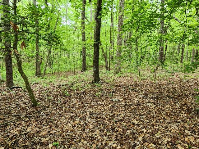 Land for sale in Tennessee