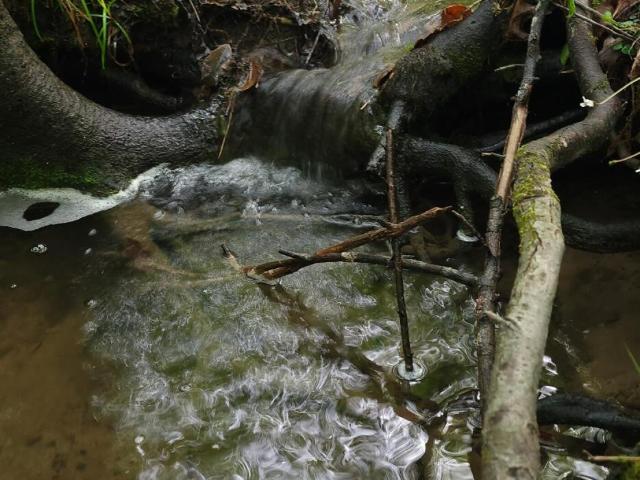 Land for sale in Tennessee
