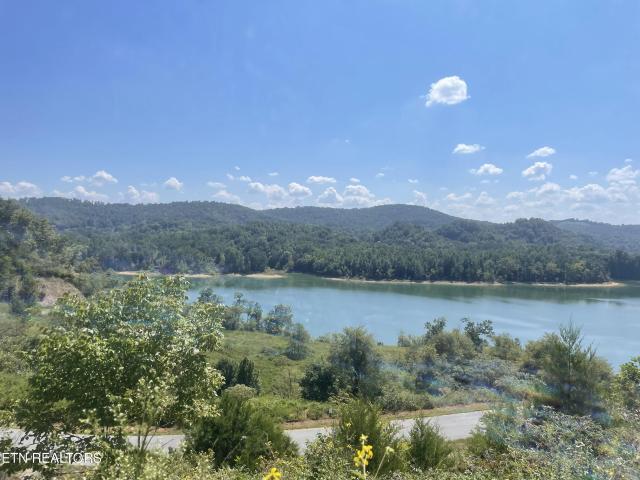 Land for sale in Landing at Norris Lake, Tazewell