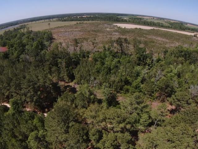 Land for sale in Metter, Candler County