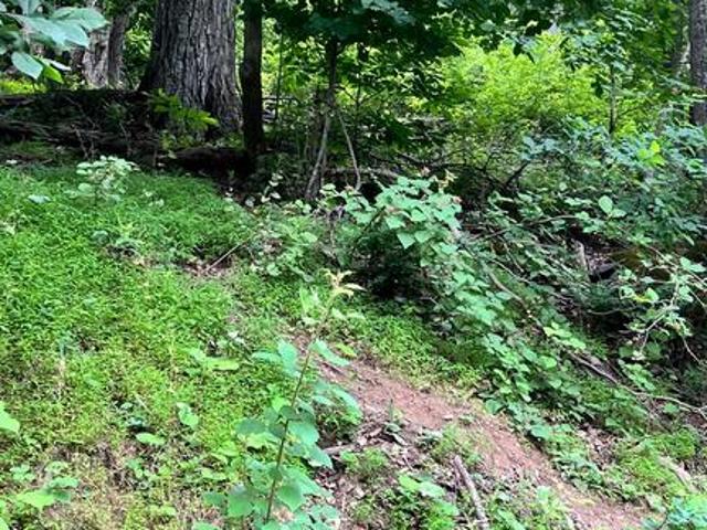 Land for sale in Virginia