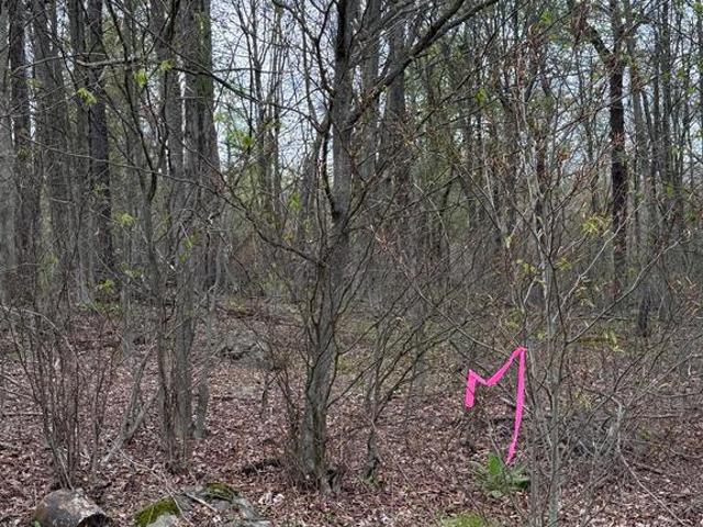 Land for sale in Cresco, Pennsylvania