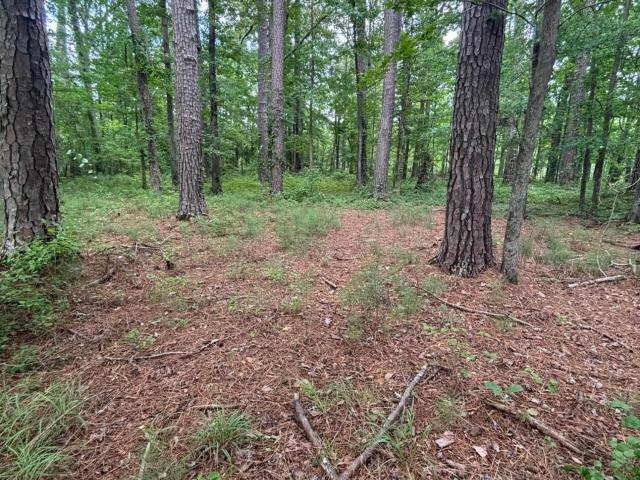Land for sale in North Carolina