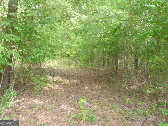 Land for sale in Appling, Georgia