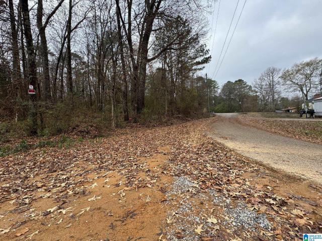 Land for sale in Anniston, Alabama