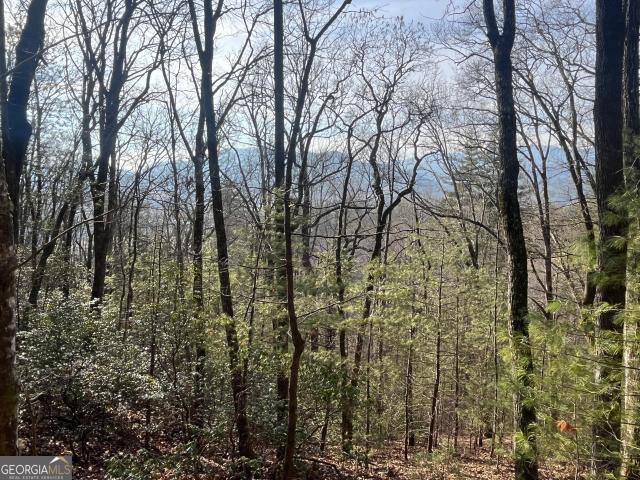 Land for sale in Dillard, Georgia