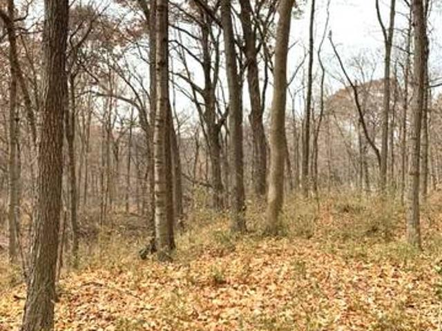 Land for sale in Morris, Illinois